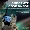 Найди призвание – заключи контракт!